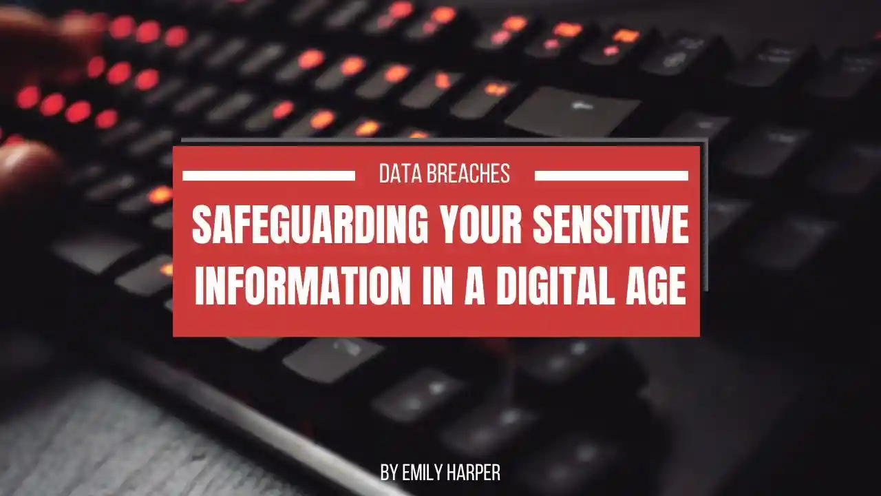 primary image of article Data Breaches: Safeguarding Your Sensitive Information in a Digital Age
