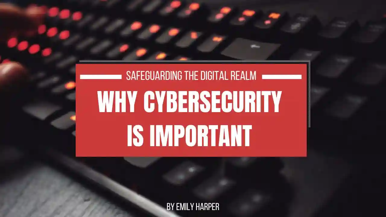 primary image of article Why Cybersecurity is Important: Safeguarding the Digital Realm